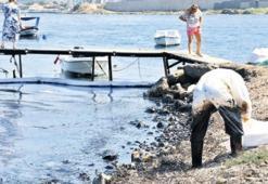 Aliağa ve Foça sahillerinde zift kirliliği