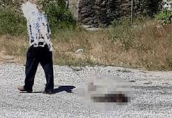 Tüfekle öldürdü, ayağına ip bağlayıp sürükledi...