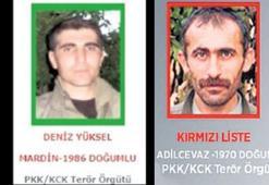 4 milyon TL ödüllü ‘Bager’ ile 1 milyonluk ‘Haki’ öldürüldü