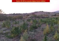 Son dakika: PKK'ya bir tarihi tokat daha