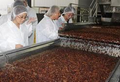 Çinliler Türkiye'ye kuru üzüm için geldi