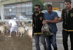 Vatandaşı dolandırıp çiftlik kurdu