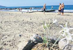 Koparana  48 bin lira para cezası