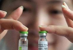 Antibiyotiğe bağışıklı virüs keşfedildi!