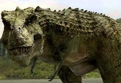 Güney Afrika'da yeni dinozor türü keşfedildi