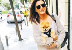 Köpeğe kameralı koruma