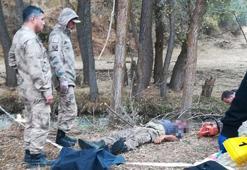 Kestiği ağacın altında kalarak öldü