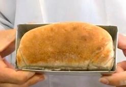 Kırmızı etten fazla protein içeren hamam böcekli ekmek