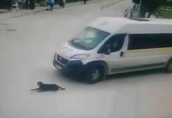 Servis minibüsü, köpeği ezip yoluna devam etti