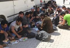 177 düzensiz göçmen yakalandı!