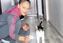 Hayvanlara bakıyoruz diye genelevden attılar