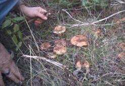 Sağlık Bakanlığı dün uyardı, bugün haber geldi