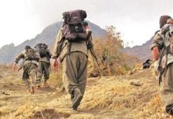 PKK'lı teröristlerden "Öldük, bittik" itirafı