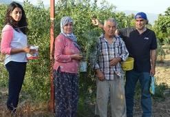 Goji berry yetiştiren çift, siparişlere yetişemiyor