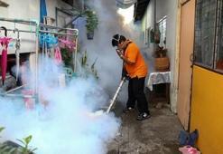 Hindistan'da zika virüsü alarmı! 21 günde 55 kişi...