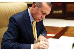 Cumhurbaşkanlığı Finans Ofisi Başkanlığı'na atama yapıldı