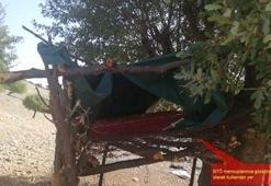 PKK'lı teröristler ağaçta brandayla gözetleme kulesi yapmış