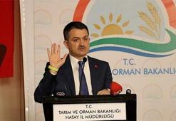 Bakan Pakdemirli: 1 milyon 50 bin...