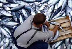 Ve fiyatlar 20 liraya kadar yükseldi