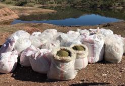 Son dakika: 5 ton esrar ele geçirildi