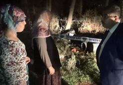 Ormana bırakılan variller endişe yarattı