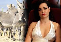 Özgü Namal'ın yeni mesleği şaşırttı!