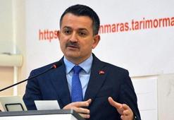 Pakdemirli'den "balık tüketelim" çağrısı