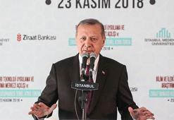 Cumhurbaşkanı Erdoğan, Fatih Sultan Mehmet'i örnek gösterip açıkladı