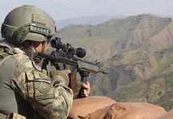Suriye sınırı özel güvenlik bölgesi ilan edildi