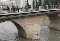 Yeşilırmak'ta toplu balık ölümleri