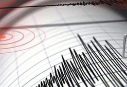Yeni Kaledonya'da 7.3'lük deprem