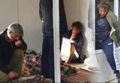Konteynere fuhuş baskını!