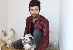 Altın yumurtlayan tavuk! Tanesi 40 TL