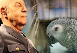 "Babayiğitler ölmüş, Türkiye papağanı konuşuyor"