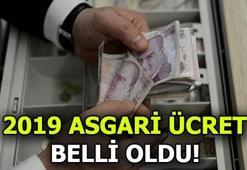 Asgari ücret ne kadar oldu? 2019 Asgari ücret zammı açıklandı