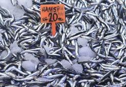Hamsinin fiyatı el yakıyor