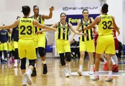 Fenerbahçe, evinde Olympiakos'u devirdi