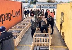 Türk narko timi oyunu bozdu