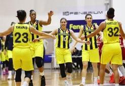Fenerbahçe'nin konuğu Perfumerias Avenida