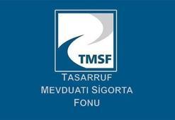 TMSF iki şirketi satışa çıkardı