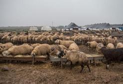 Kredi çekerek başladı! Şimdi ise...