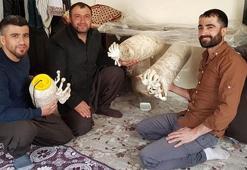 Hobi olarak başladılar! Şimdi bölgenin tüm ihtiyacını karşılamayı hedefliyorlar