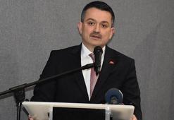 Bakan Pakdemirli açıkladı! Artık satılmayacak...