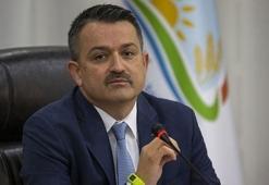 Bakan Pakdemirli: 1 Temmuz'dan bugüne bütün felaketleri kapsayacak şekilde ödeme yapılacak