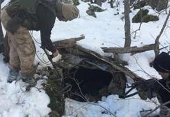 Terör örgütü PKK'nın kış üstlenmesine ağır darbe!