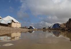 'Veba salgını Musul'u kasıp kavuruyor'