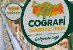 Artık o veriler internete taşındı