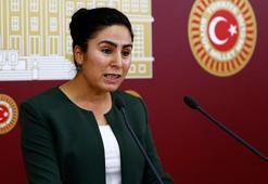 HDP milletvekili Sürücü'ye 3 yıla kadar hapis istemi