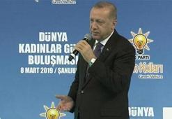 Cumhurbaşkanı Erdoğan'dan önemli açıklamalar