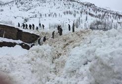Hakkari'de 80 hayvan çığ altında kalarak telef oldu!